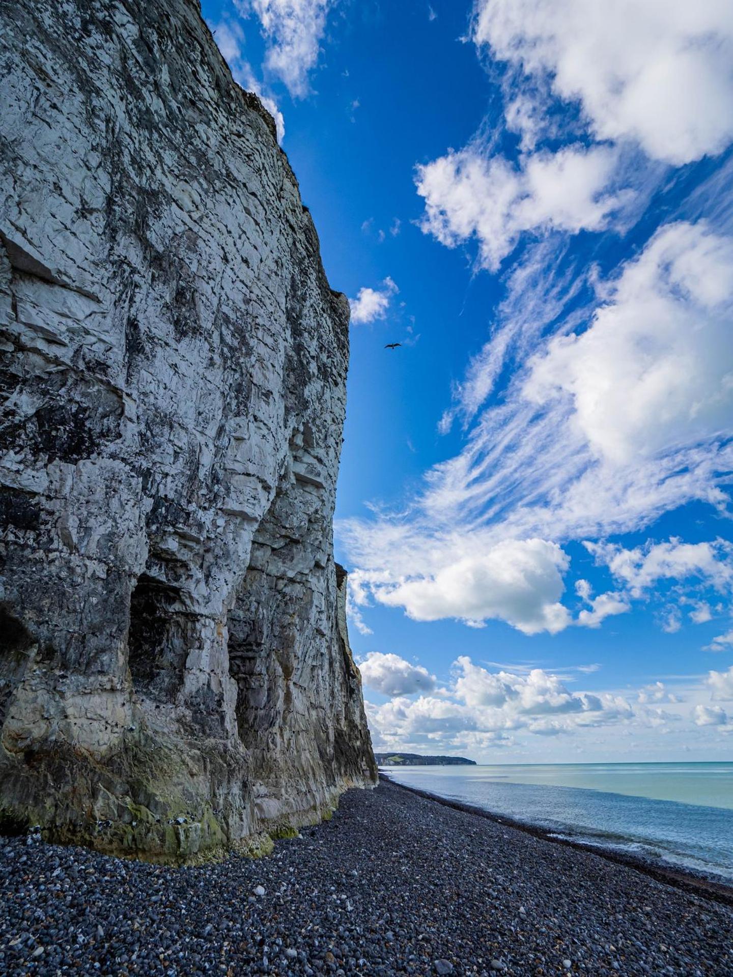 Le Nid Dieppois - Sur Les Quais De Dieppe, Entre Port & Plage Dış mekan fotoğraf